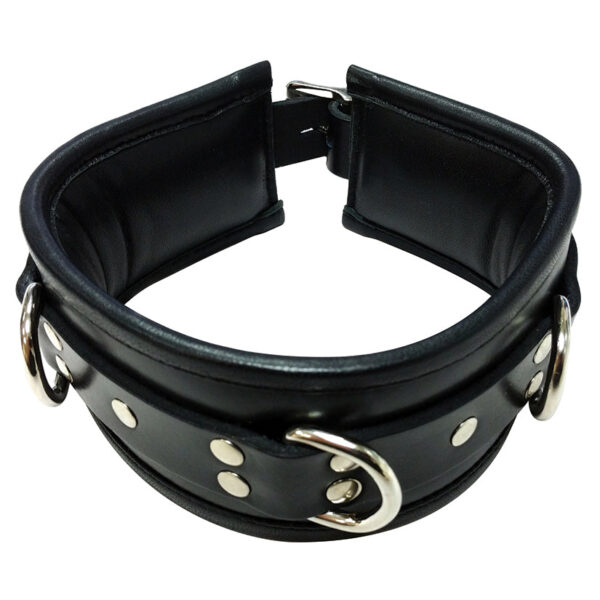 Leather Padded Collar-Black
