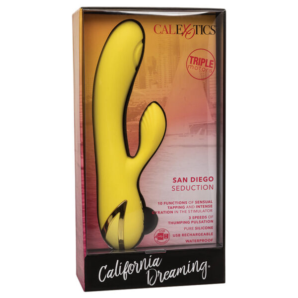 California Dreaming San Diego Seduction