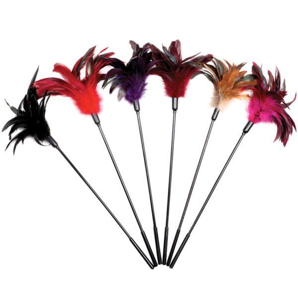 Sportsheets Starburst Tickler-Assorted Set of 6